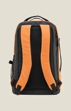 Craft Sportswear Väskor|Väskor^ADV Entity Computer Backpack 18 L Chestnut