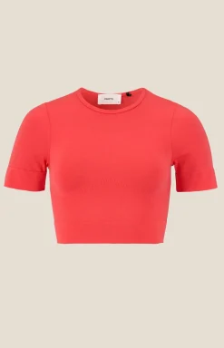 Craft Sportswear Träning^Collective Seamless Cropped SS Top W Poppy