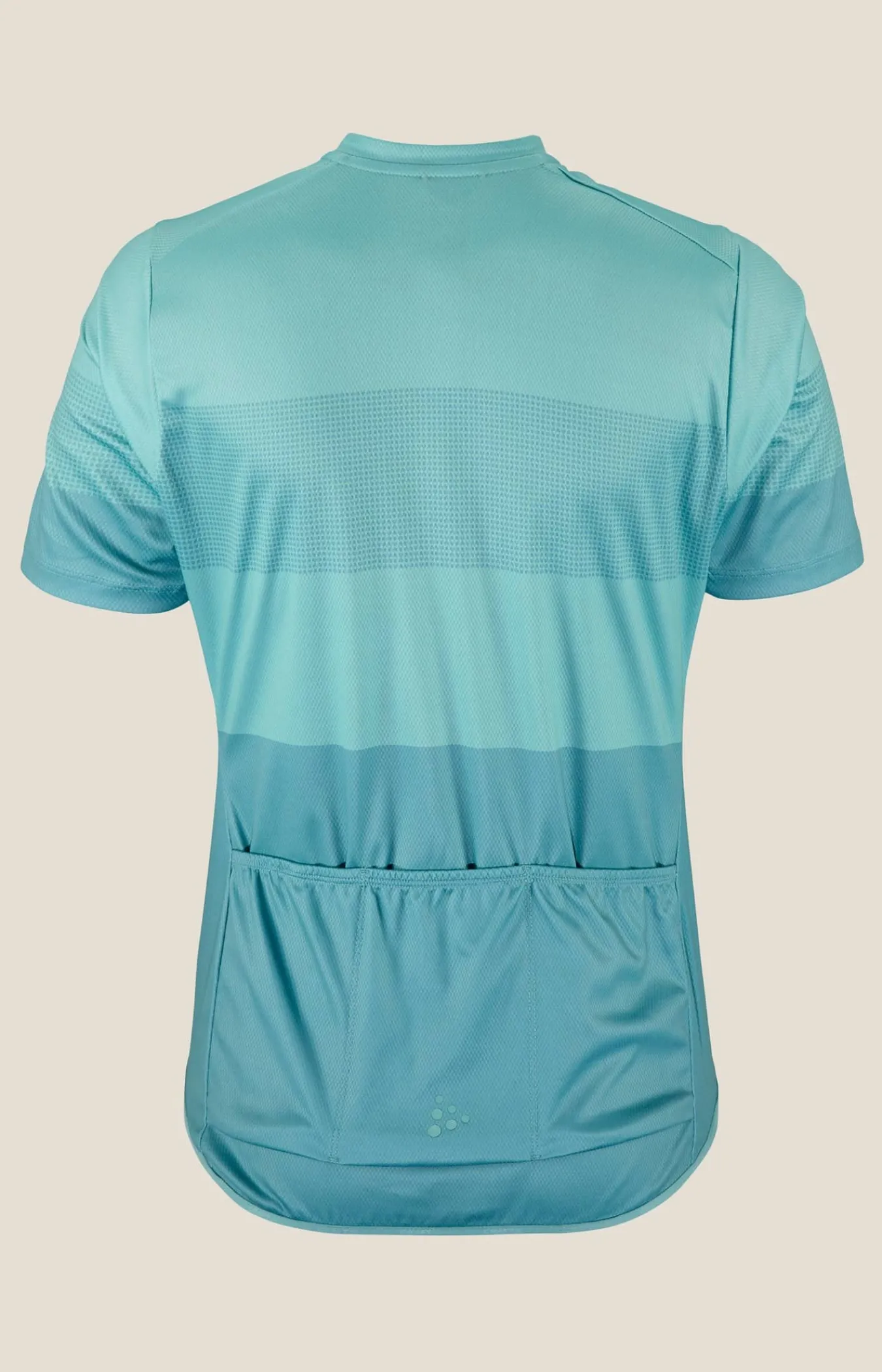 Craft Sportswear T-Shirts & Tröjor^CORE Endur Logo Jersey W Aquatic/Celeste