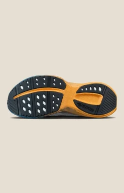 Craft Sportswear Vägskor|Promenadskor^Endurance 2 M Platinum/Sour