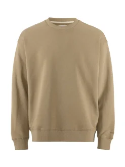 Craft Sportswear Hoodies & Sweatshirts^Frequent RN Sweatshirt M Taupe