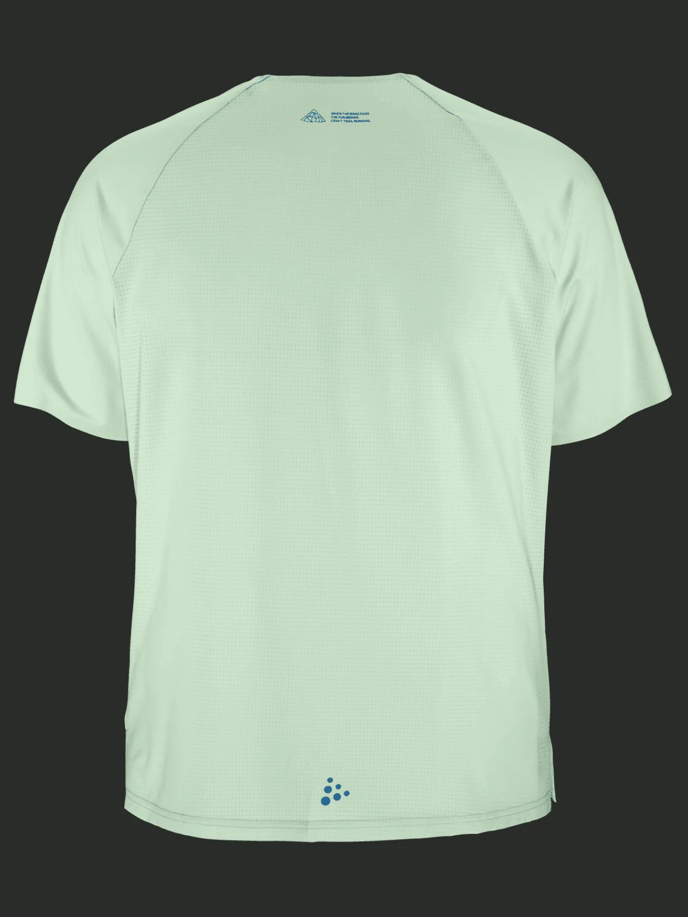 Craft Sportswear T-Shirts & Tröjor^PRO Trail SS Tee M Plexi