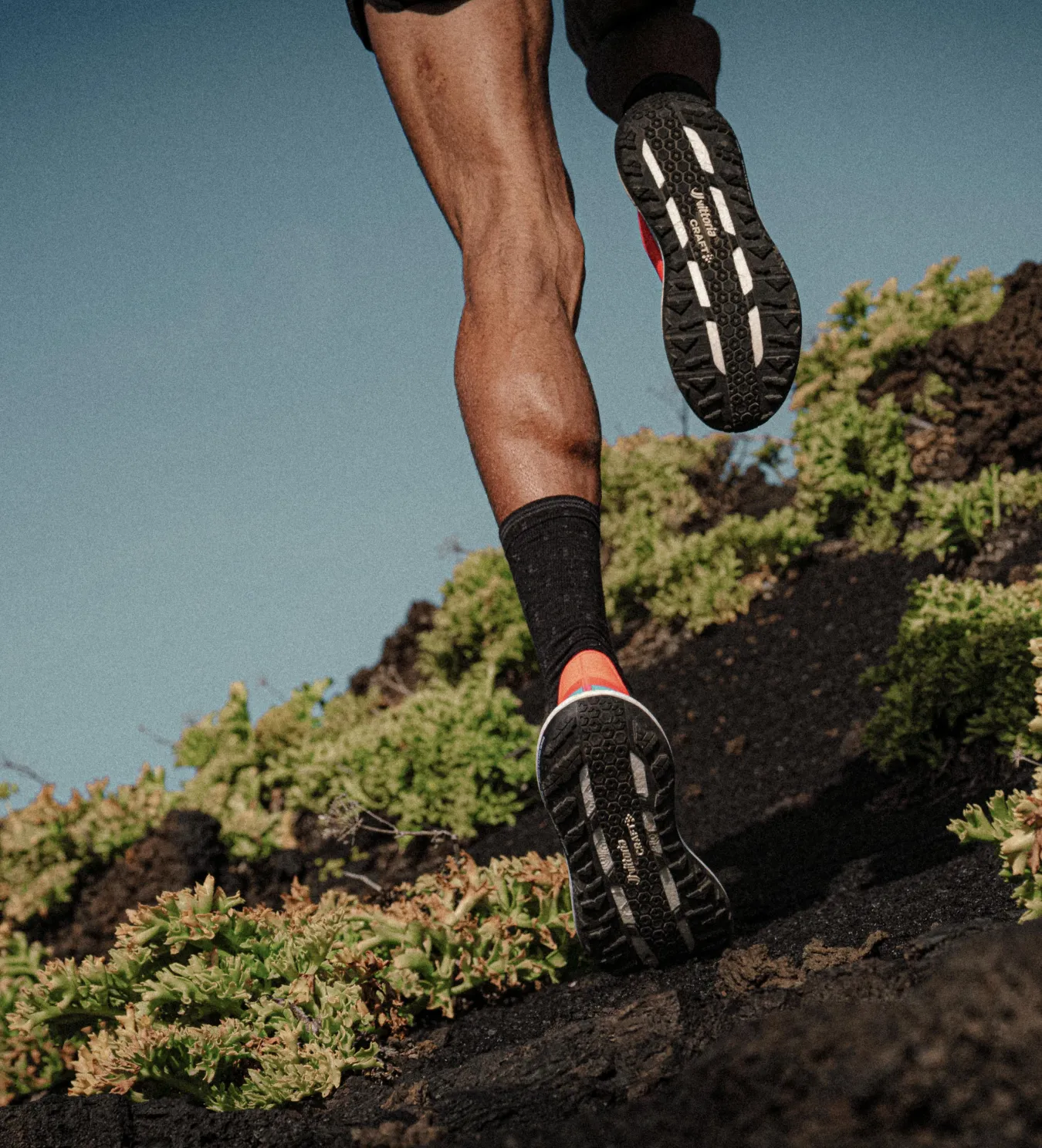 Craft Sportswear Trailskor|Road To Trail^Xplor W Juniper/Spruce